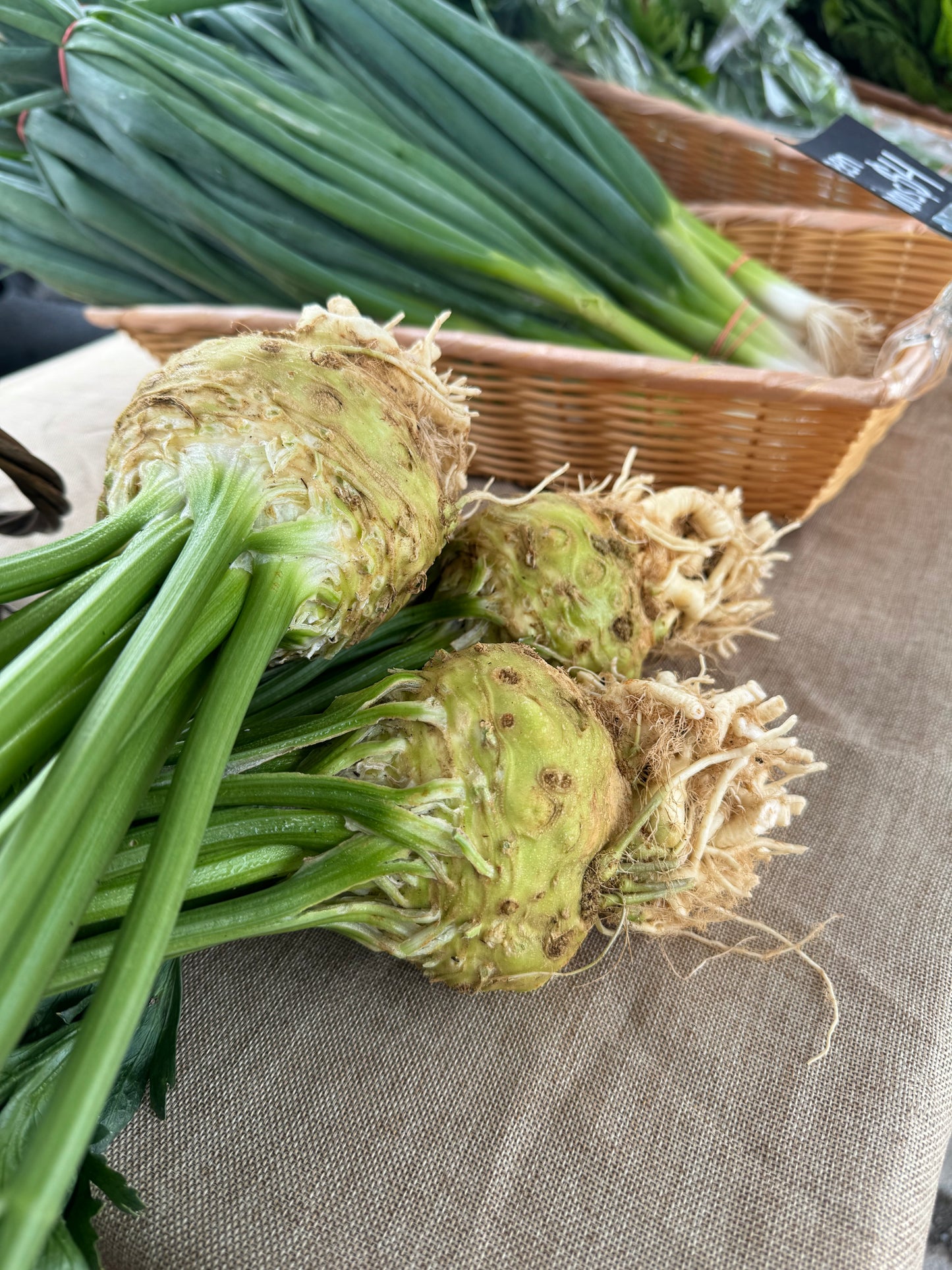 Celeriac