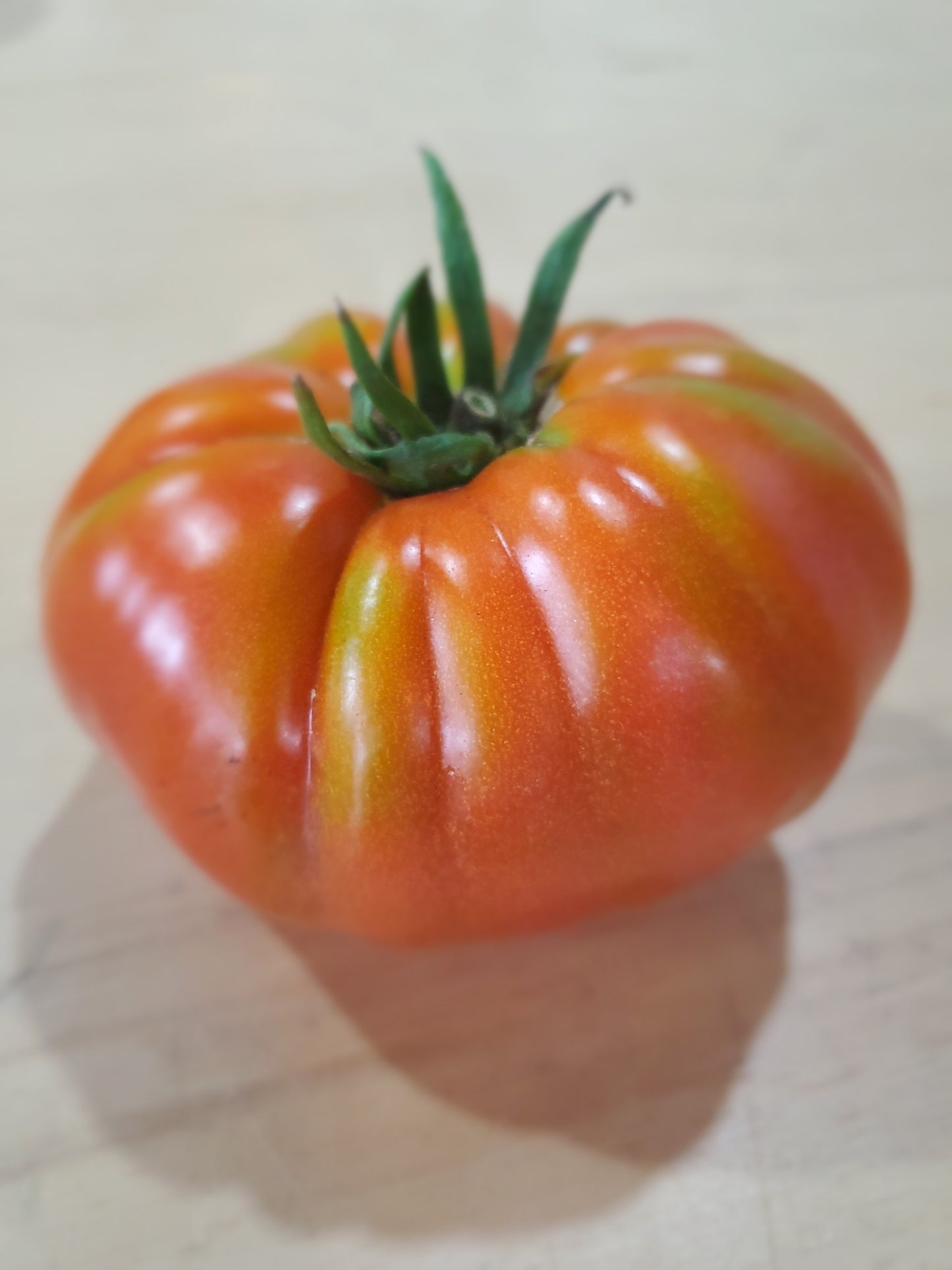Marbonne Tomato