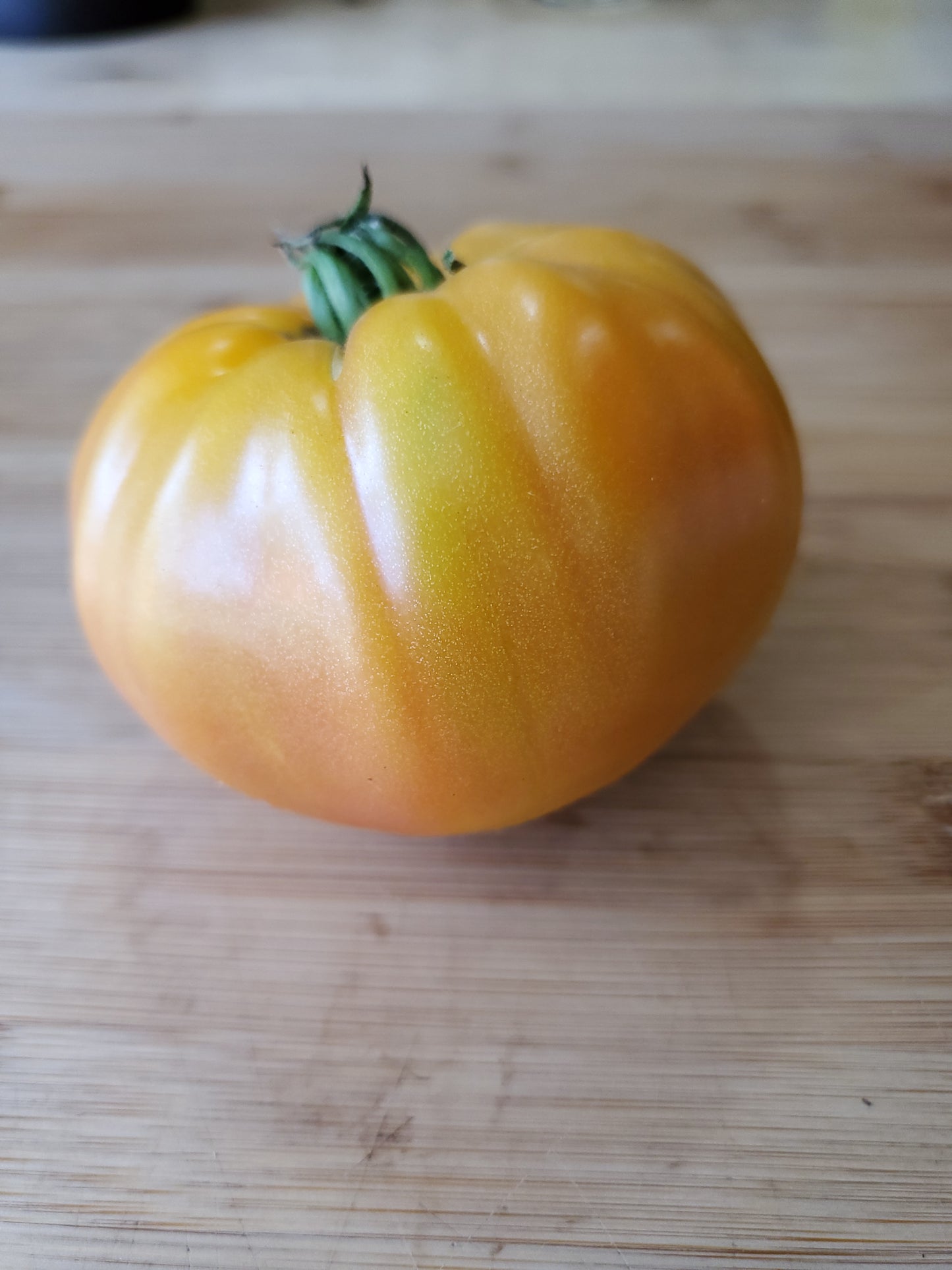 Margold Tomato