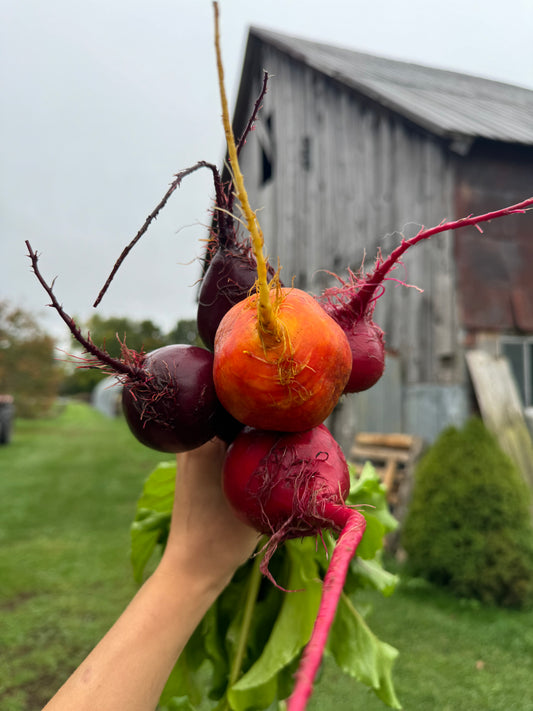 Mixed Beets