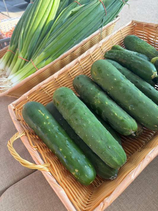 Cucumbers