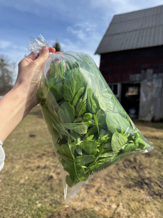 Astro Arugula