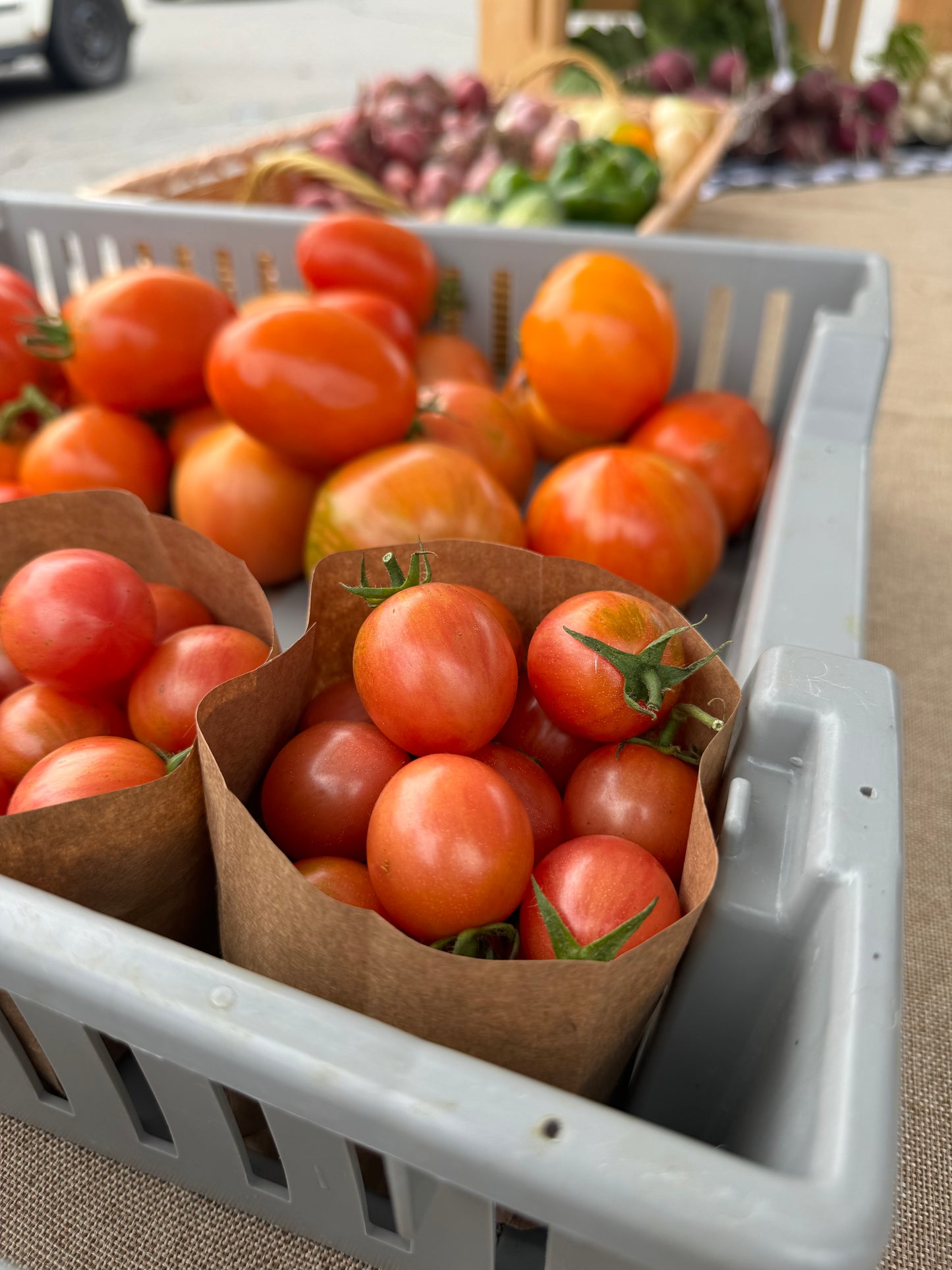 Mixed Cherry Tomatoes