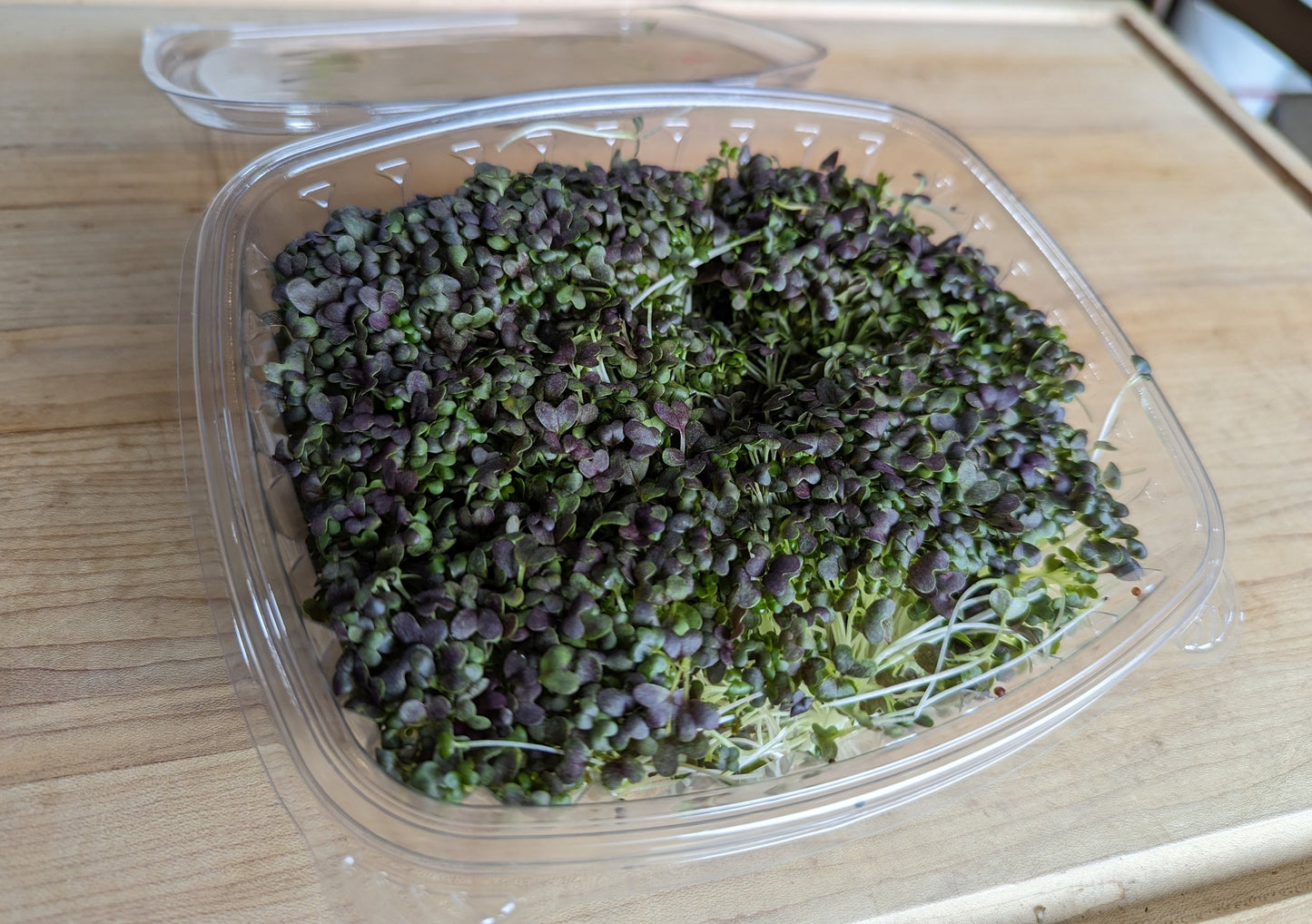 Ruby Streak Mustard Microgreens